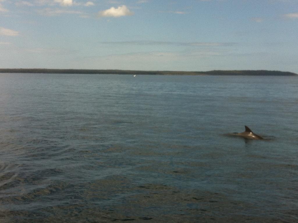 موتيل هاسكيسون Jervis Bay Mariners المظهر الخارجي الصورة